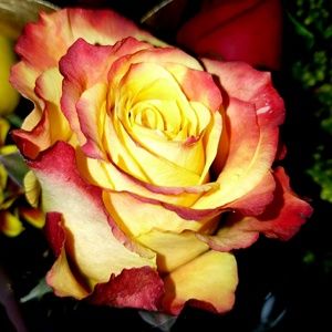 Meet your Posher, Destiny